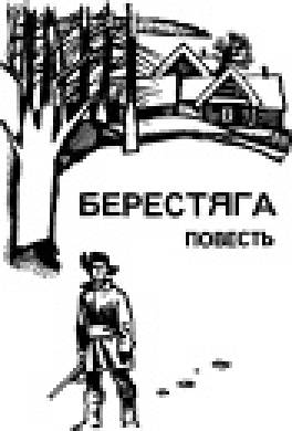 Берестяга