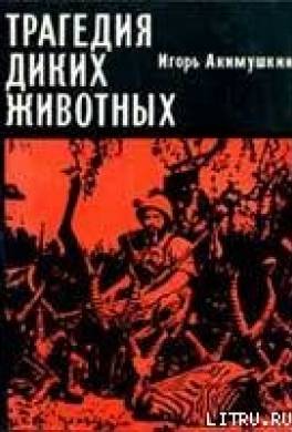 Трагедия диких животных