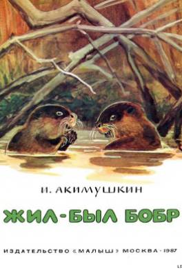 Жил-был бобр