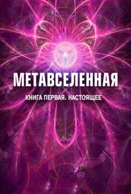 Метавселенная. Книга первая: настоящее