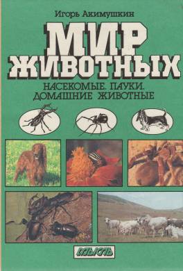 Мир животных. Насекомые. Пауки. Домашние животные