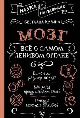Мозг. Всё о самом ленивом органе