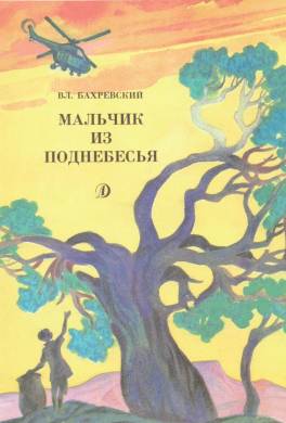 Мальчик из поднебесья