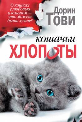 Кошачьи хлопоты