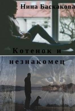 Котенок и незнакомец