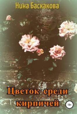 Цветок среди кирпичей