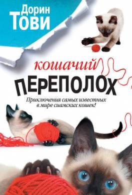 Кошачий переполох