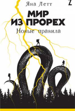 Мир из прорех. Новые правила