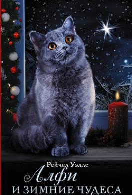 Алфи и зимние чудеса