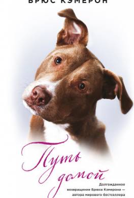 Путь домой