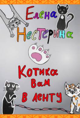 Котика вам в ленту!