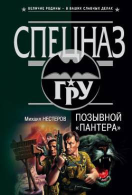 Позывной «Пантера»