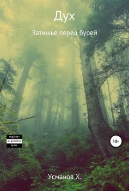 Дух. Затишье перед бурей