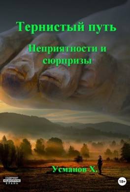 Тернистый путь. Неприятности и сюрпризы