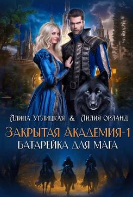 Закрытая академия – 1. Батарейка для мага