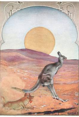 Приключения старого кенгуру