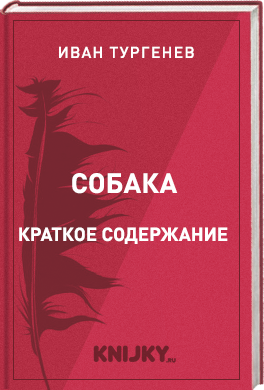 Собака краткое содержание